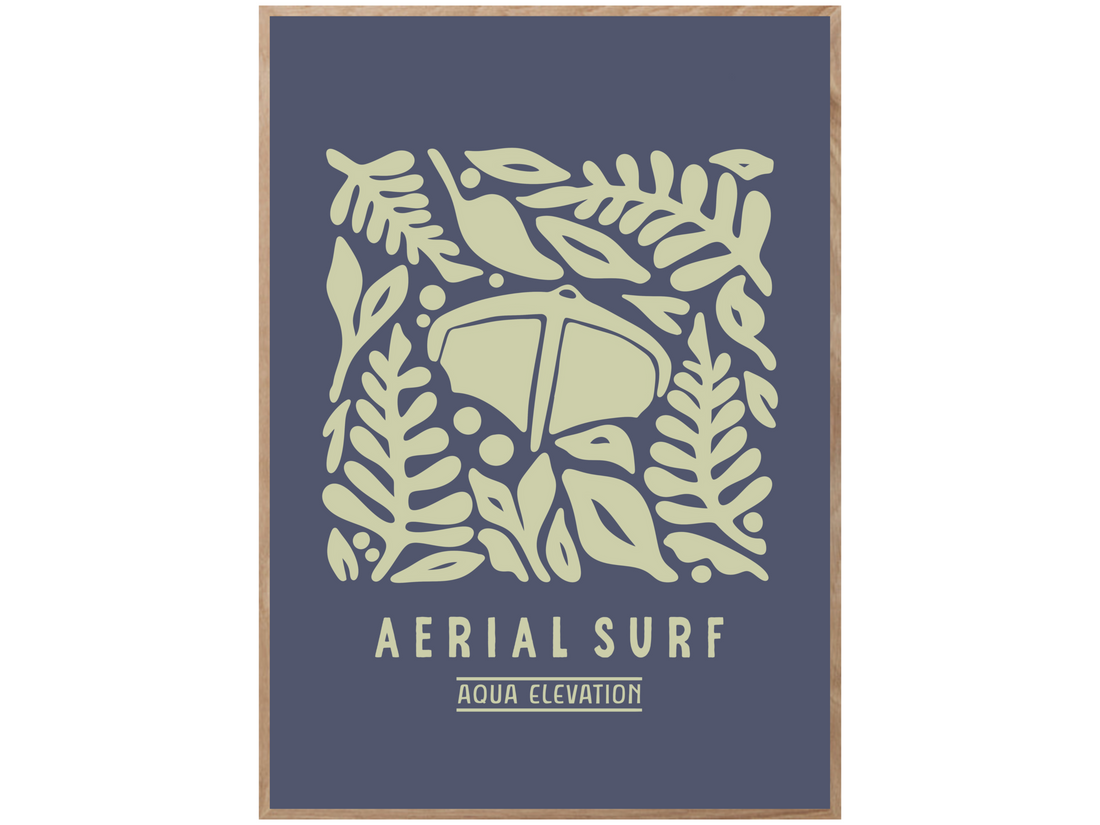 AERIAL SURF POSTER