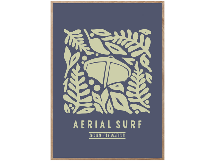 AERIAL SURF POSTER