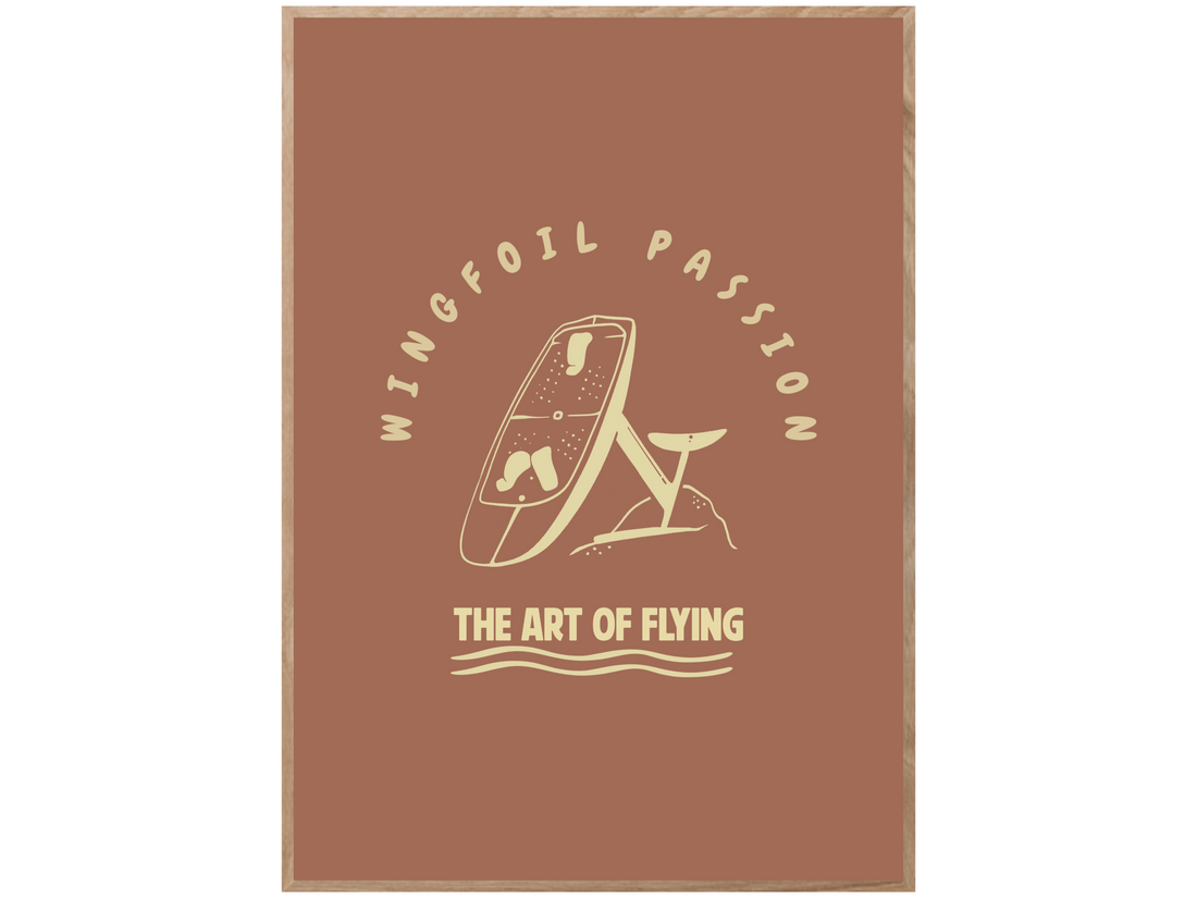 ART OF FLYING POSTER